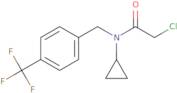 2-Chloro-N-cyclopropyl-N-{[4-(trifluoromethyl)phenyl]methyl}acetamide