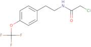 2-Chloro-N-{2-[4-(trifluoromethoxy)phenyl]ethyl}acetamide