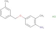 2-Methyl-4-[(3-methylphenyl)methoxy]aniline hydrochloride