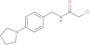 2-Chloro-N-{[4-(pyrrolidin-1-yl)phenyl]methyl}acetamide