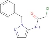 N-(1-Benzyl-1H-pyrazol-5-yl)-2-chloroacetamide