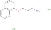 8-(3-Aminopropoxy)quinoline dihydrochloride