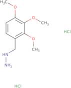 [(2,3,4-Trimethoxyphenyl)methyl]hydrazine dihydrochloride