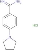 4-(Pyrrolidin-1-yl)benzene-1-carboximidamide hydrochloride