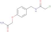 N-{[4-(Carbamoylmethoxy)phenyl]methyl}-2-chloroacetamide