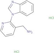 [2-(1H-1,3-Benzodiazol-1-yl)pyridin-3-yl]methanamine dihydrochloride