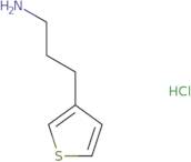 3-(Thiophen-3-yl)propan-1-amine hydrochloride