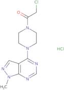 2-Chloro-1-(4-{1-methyl-1H-pyrazolo[3,4-d]pyrimidin-4-yl}piperazin-1-yl)ethan-1-one hydrochloride