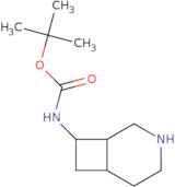 tert-Butyl N-{3-azabicyclo[4.2.0]octan-8-yl}carbamate