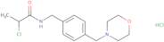 2-Chloro-N-{[4-(morpholin-4-ylmethyl)phenyl]methyl}propanamide hydrochloride