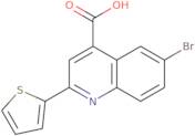 6-Bromo-2-(thiophen-2-yl)quinoline-4-carboxylic acid