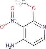 4-Amino-2-methoxy-3-nitropyridine