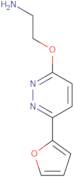 (2-([6-(2-Furyl)pyridazin-3-yl]oxy)ethyl)amine