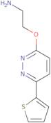 (2-([6-(2-Thienyl)pyridazin-3-yl]oxy)ethyl)amine