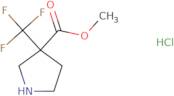 Methyl 3-(trifluoromethyl)pyrrolidine-3-carboxylate hydrochloride