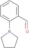 2-Pyrrolidin-1-yl-benzaldehyde