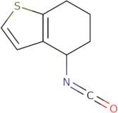 4-Isocyanato-4,5,6,7-tetrahydro-1-benzothiophene