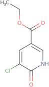 Ethyl 5-chloro-6-hydroxynicotinate