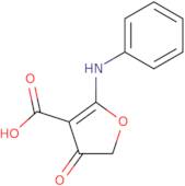 4-Oxo-2-(phenylamino)-4,5-dihydrofuran-3-carboxylic acid