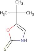 5-tert-Butyl-1,3-oxazole-2-thiol