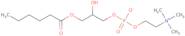 1-Hexanoyl-2-hydroxy-sn-glycero-3-phosphocholine