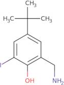 2-Aminomethyl-4-t-butyl-6-iodophenol