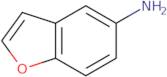 1-Benzofuran-5-amine