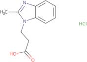 3-(2-Methyl-benzoimidazol-1-yl)-propionic acid hydrochloride