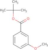 tert-Butyl 3-methoxybenzoate