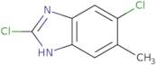 2,6-Dichloro-5-methyl-1H-1,3-benzodiazole
