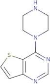 4-(Piperazin-1-yl)thieno[3,2-d]pyrimidine