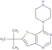 6-t-Butyl-4-piperazinothieno[3,2-d]pyrimidine