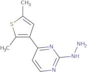 4-(2,5-Dimethyl-3-thienyl)-2-hydrazinopyrimidine