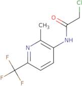 2-Chloro-N-[2-methyl-6-(trifluoromethyl)pyridin-3-yl]acetamide