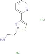 2-[4-(Pyridin-2-yl)-1,3-thiazol-2-yl]ethan-1-amine dihydrochloride