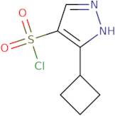 3-Cyclobutyl-1H-pyrazole-4-sulfonyl chloride