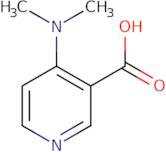 4-(Dimethylamino)nicotinic acid