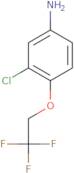 3-Chloro-4-(2,2,2-trifluoroethoxy)aniline