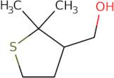 (2,2-Dimethylthiolan-3-yl)methanol
