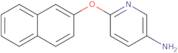 6-(Naphthalen-2-yloxy)pyridin-3-amine