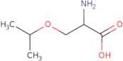 (2S)-2-Amino-3-(propan-2-yloxy)propanoic acid