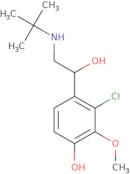 4-(2-(tert-Butylamino)-1-hydroxyethyl)-3-chloro-2-methoxyphenol