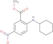 Methyl 2-(cyclohexylamino)-5-nitrobenzoate