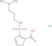 3-{[3-(Dimethylamino)propyl]sulfamoyl}thiophene-2-carboxylic acid hydrochloride