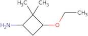 3-Ethoxy-2,2-dimethylcyclobutan-1-amine
