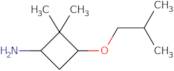 2,2-Dimethyl-3-(2-methylpropoxy)cyclobutan-1-amine