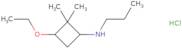 3-Ethoxy-2,2-dimethyl-N-propylcyclobutan-1-amine hydrochloride