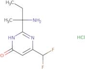 2-(2-Aminobutan-2-yl)-6-(difluoromethyl)-3,4-dihydropyrimidin-4-one hydrochloride