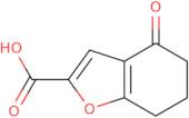 4-Oxo-4,5,6,7-tetrahydro-1-benzofuran-2-carboxylic acid