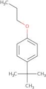 1-tert-Butyl-4-propoxybenzene